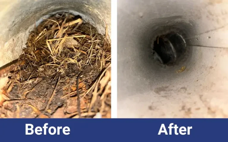 dryer vent cleaning 333